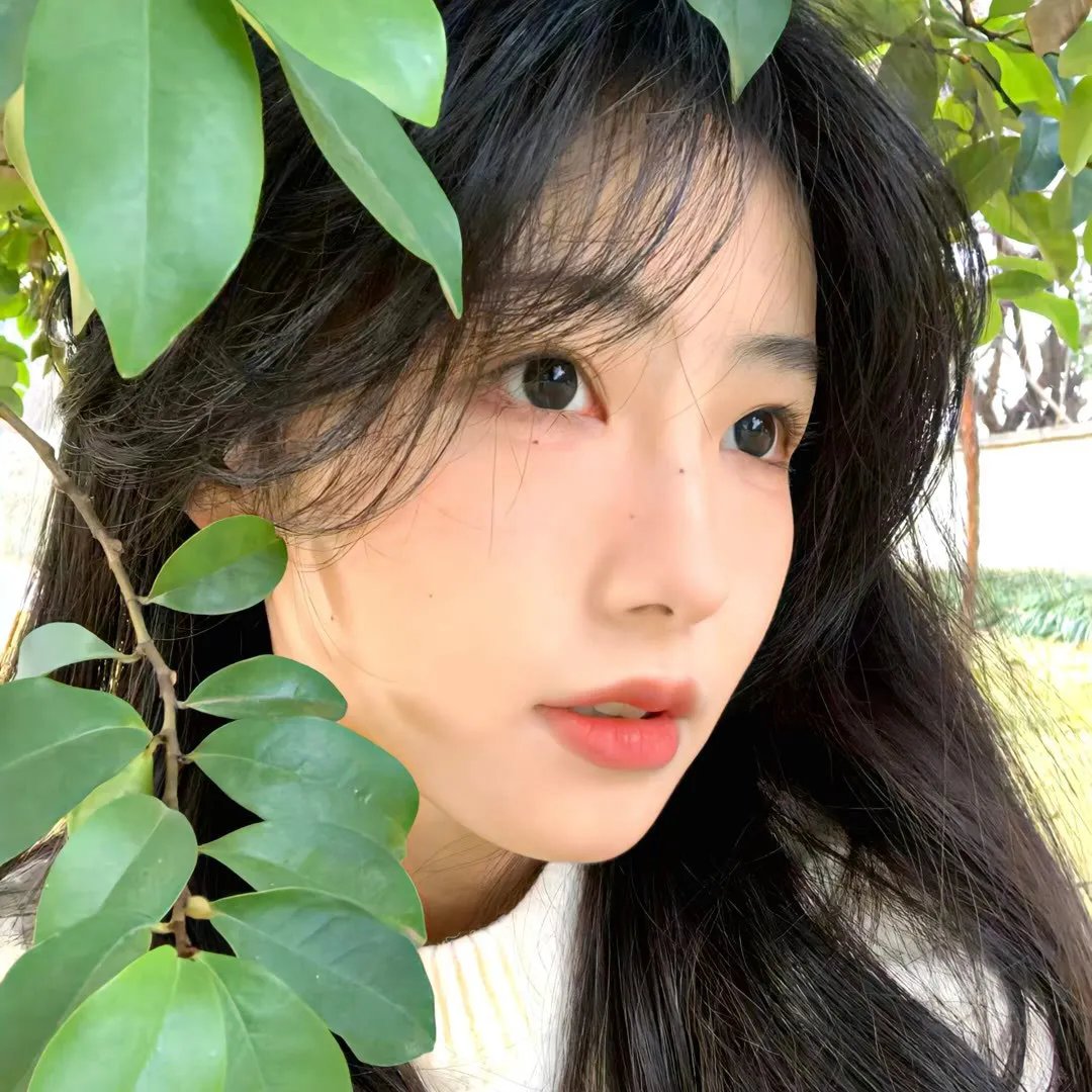 豪杰春香